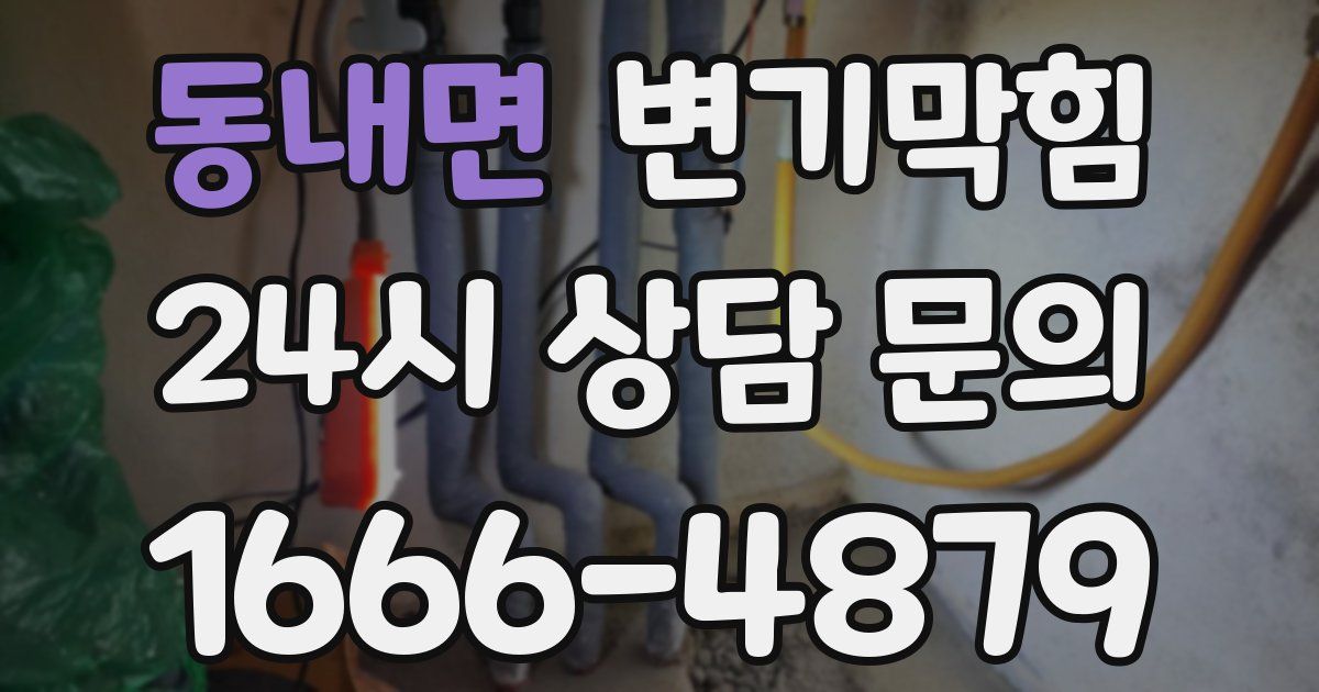 동내면 변기