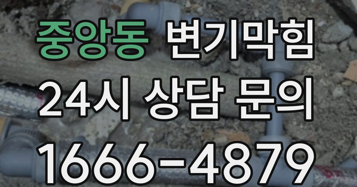 중앙동 변기