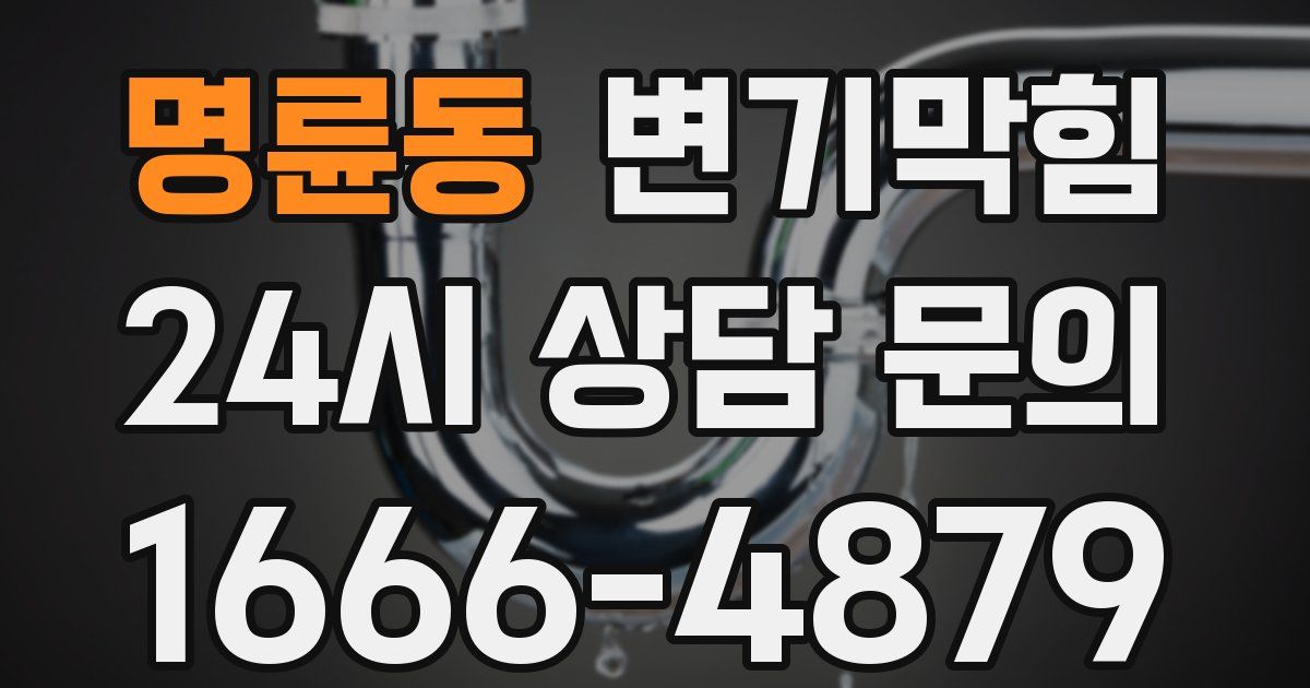 명륜동 변기