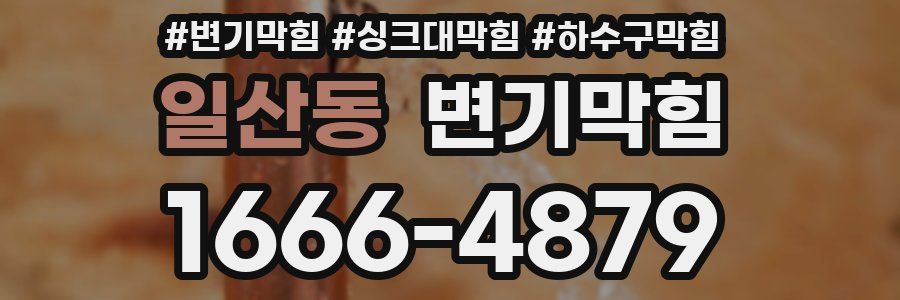 변기막힘