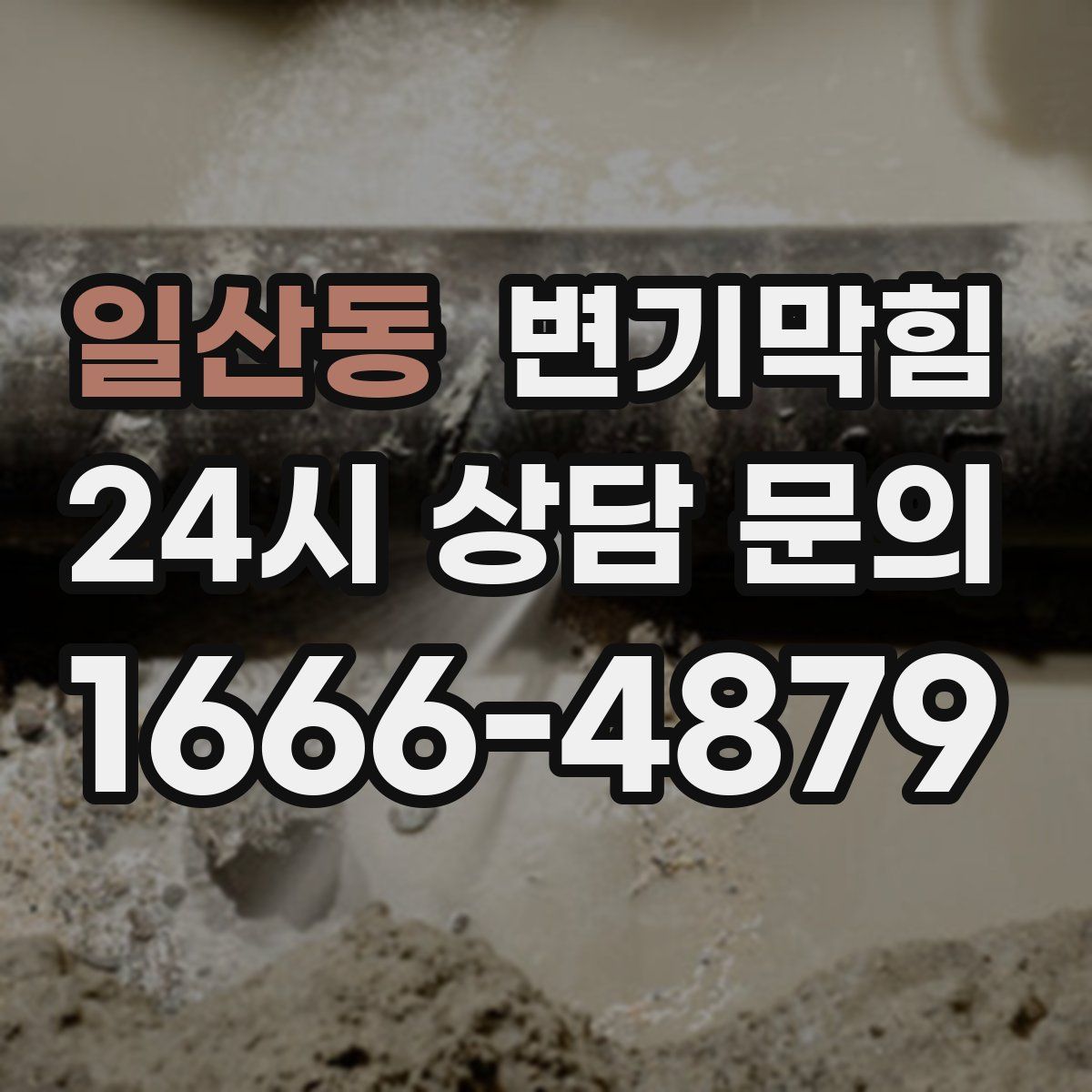일산동 변기막힘