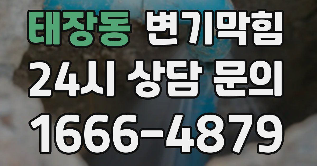 태장동 변기