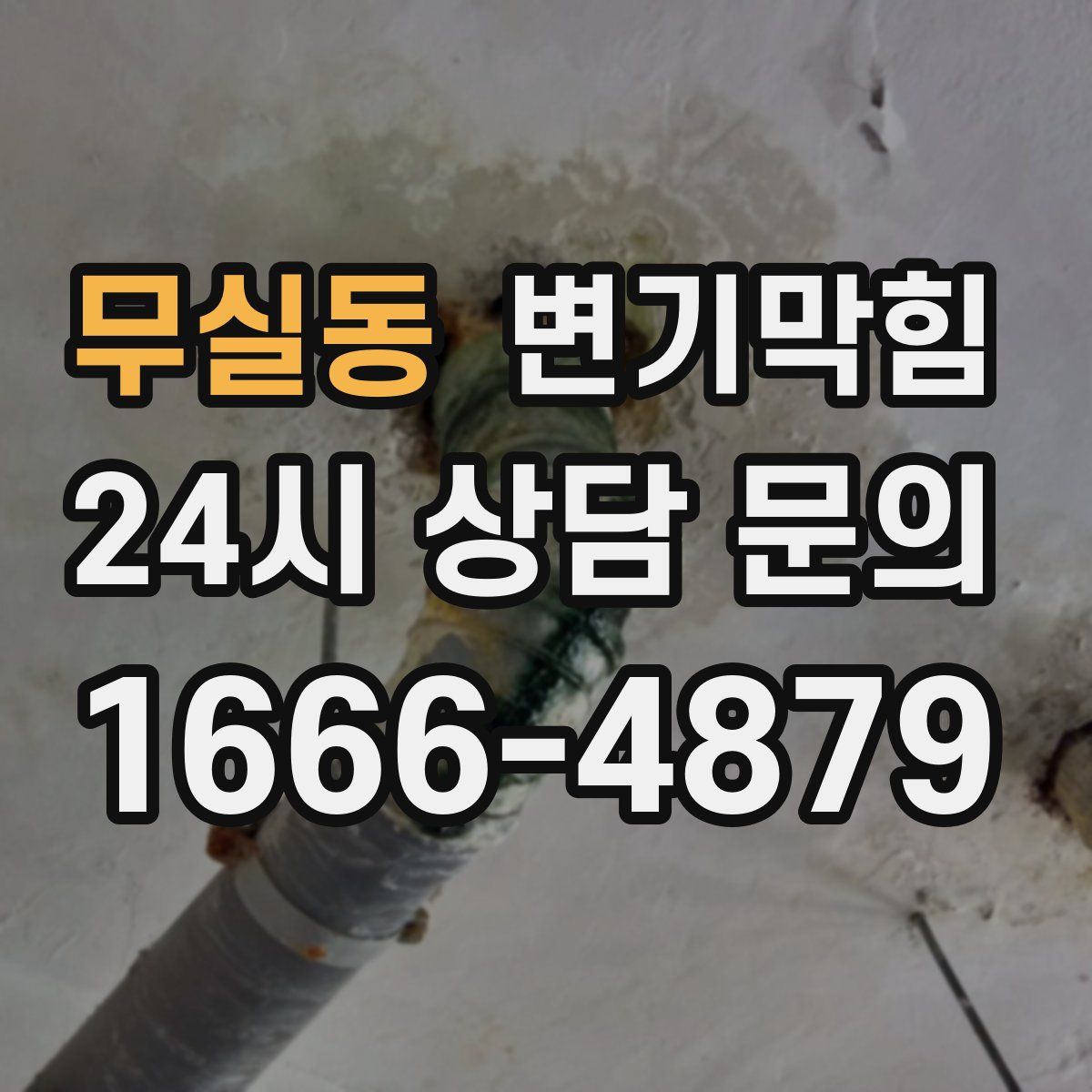 무실동 변기막힘