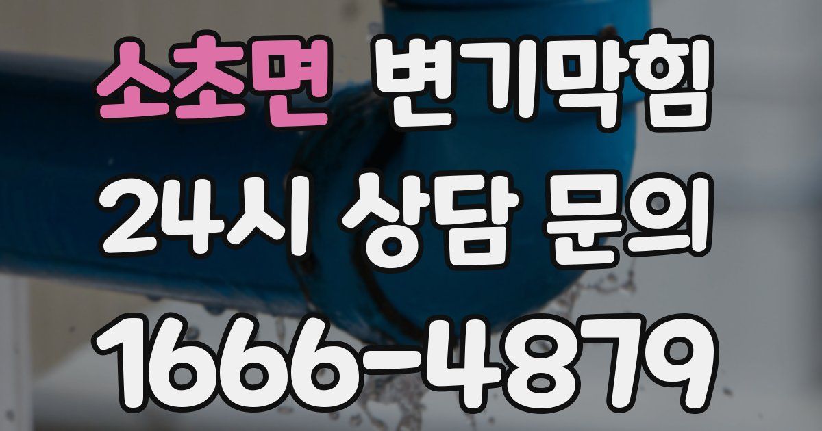 소초면 변기