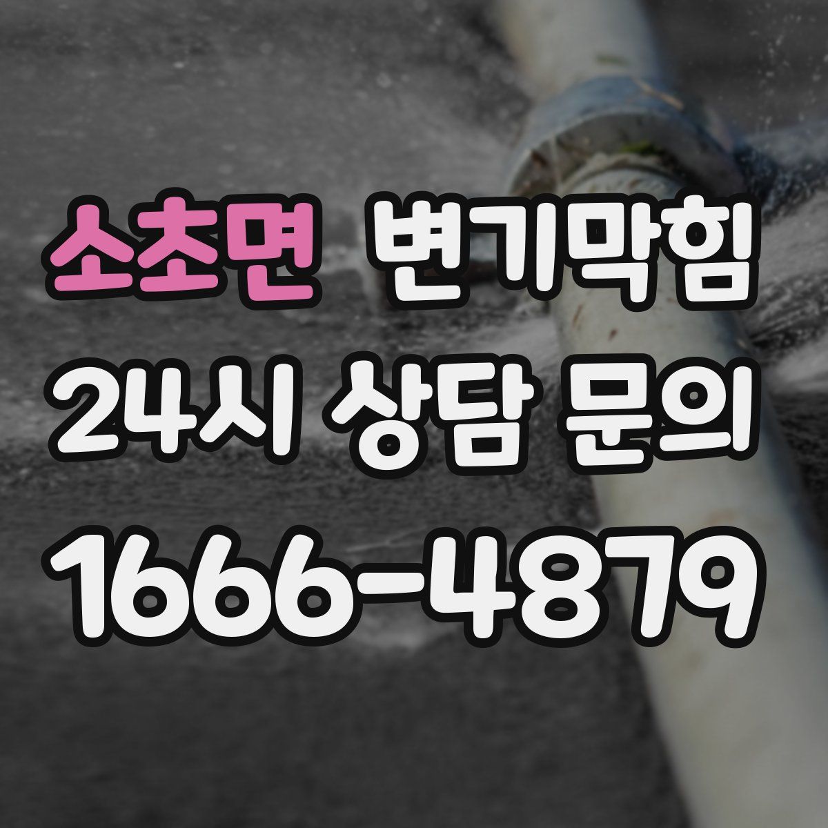 소초면 변기막힘