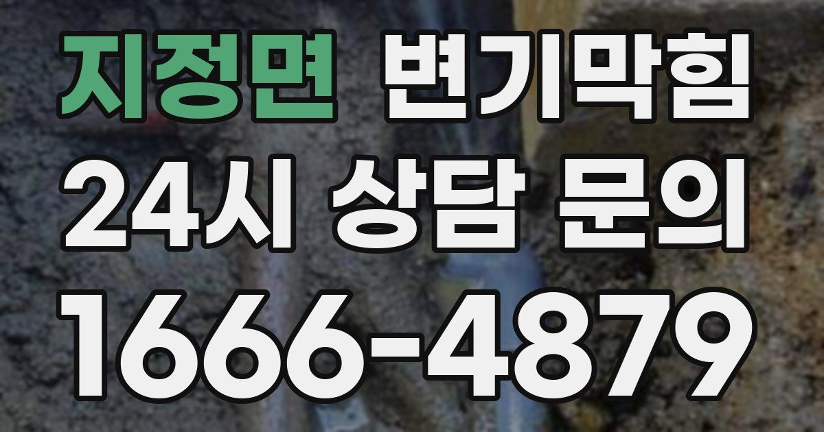 지정면 변기