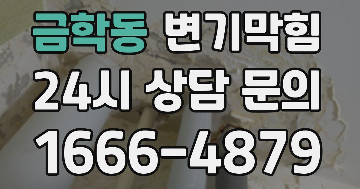 금학동 변기