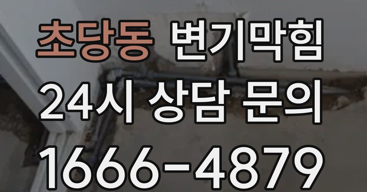 초당동 변기