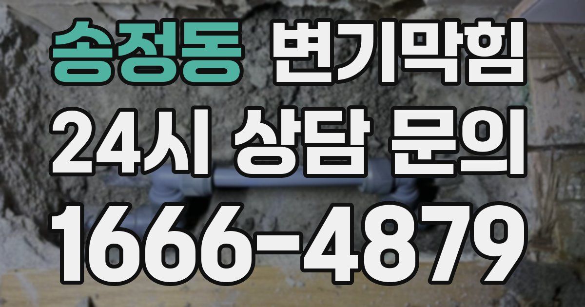 송정동 변기