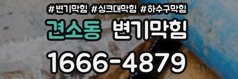 변기막힘