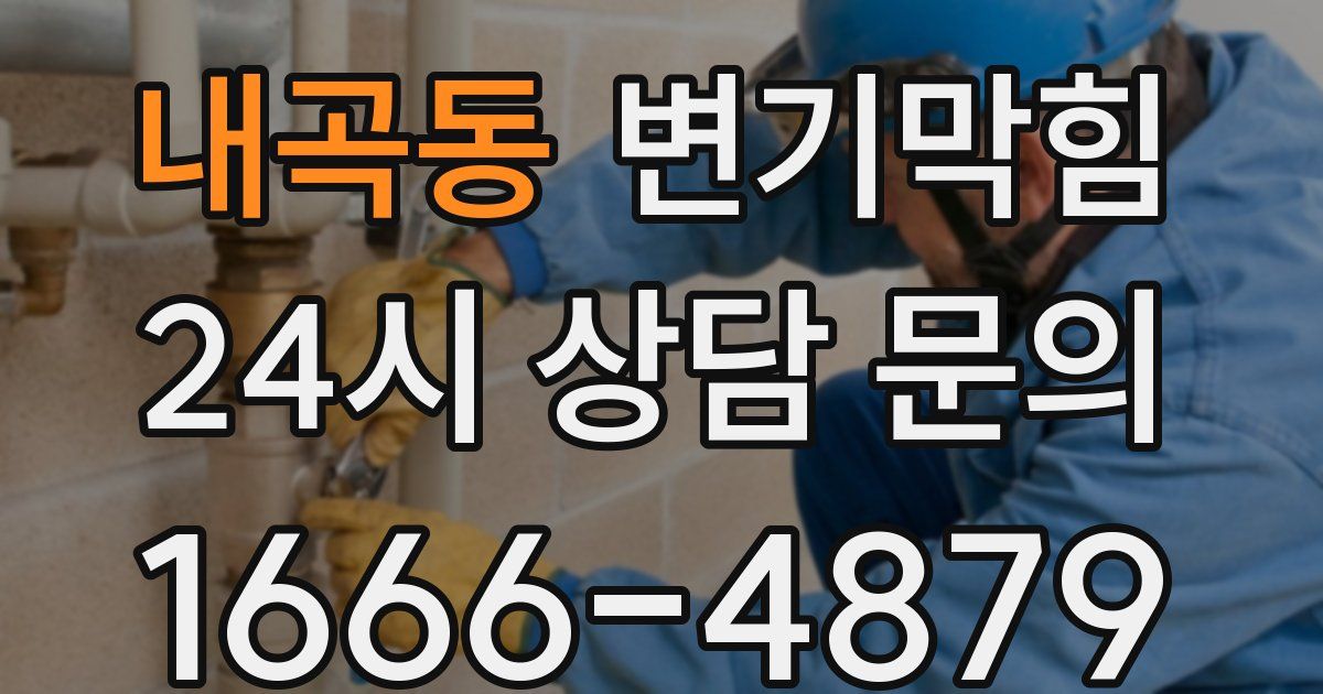 내곡동 변기