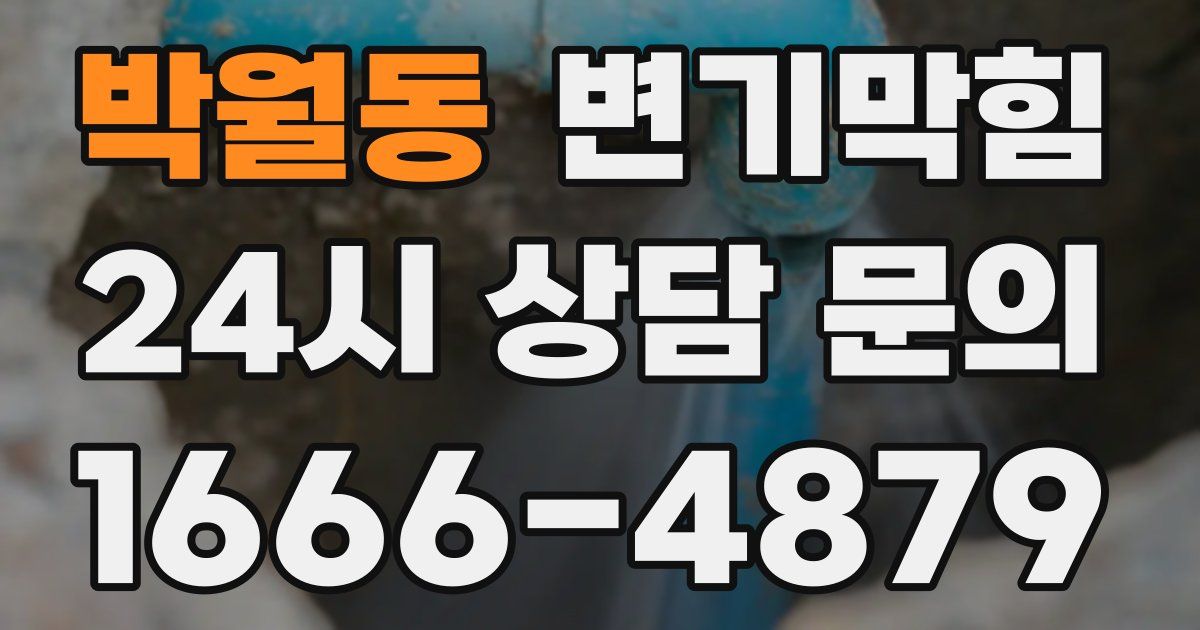박월동 변기