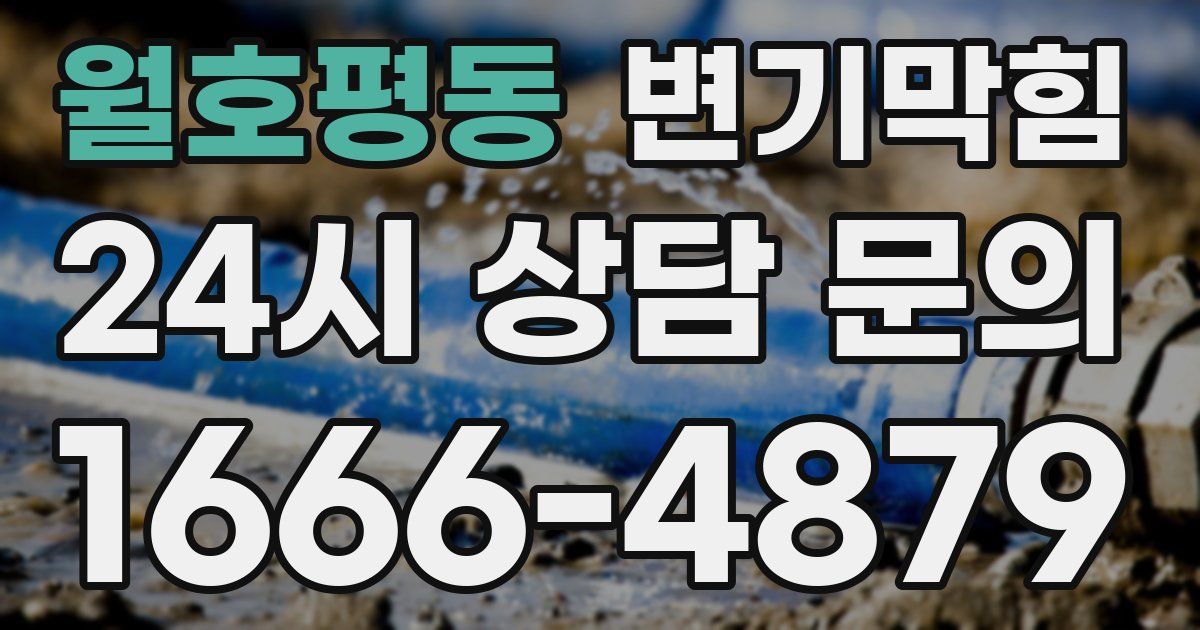 월호평동 변기
