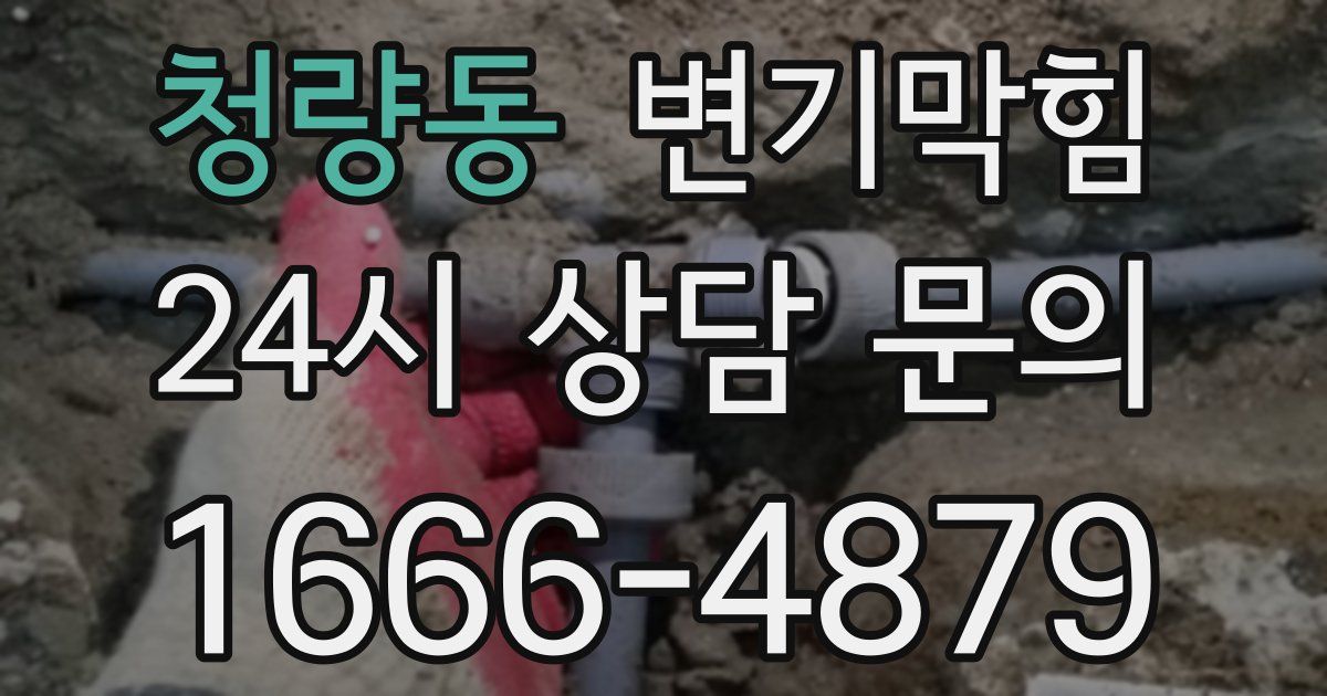 청량동 변기