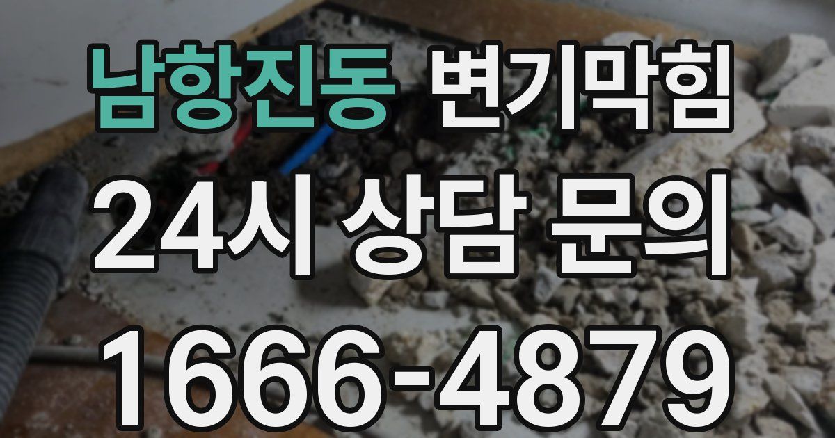 남항진동 변기