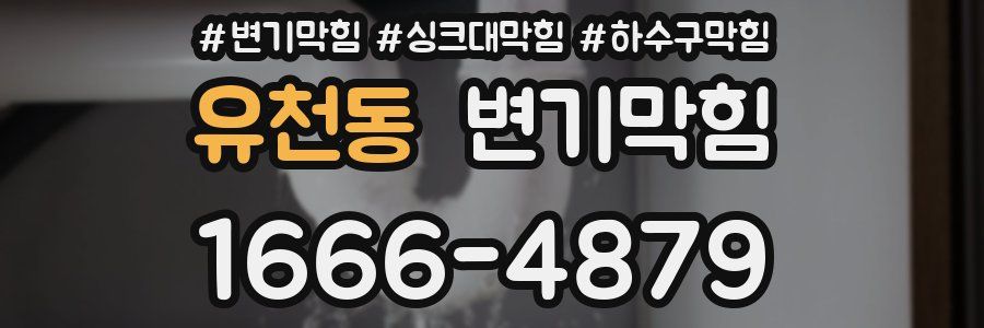 변기막힘
