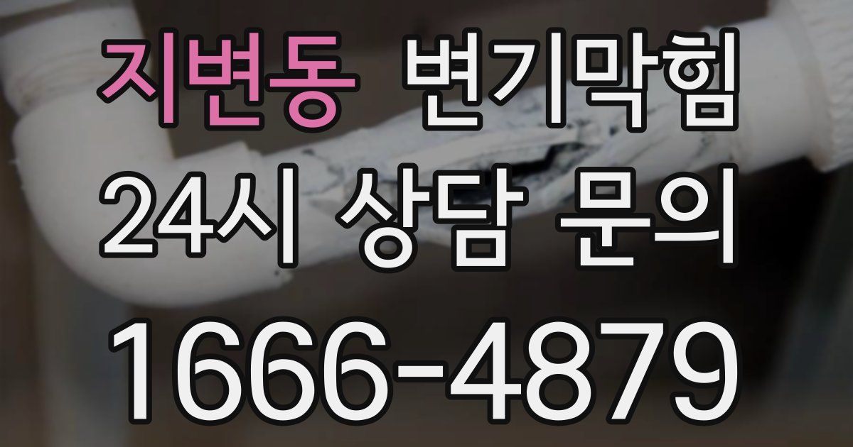 지변동 변기