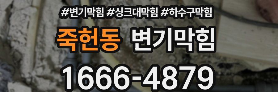 변기막힘