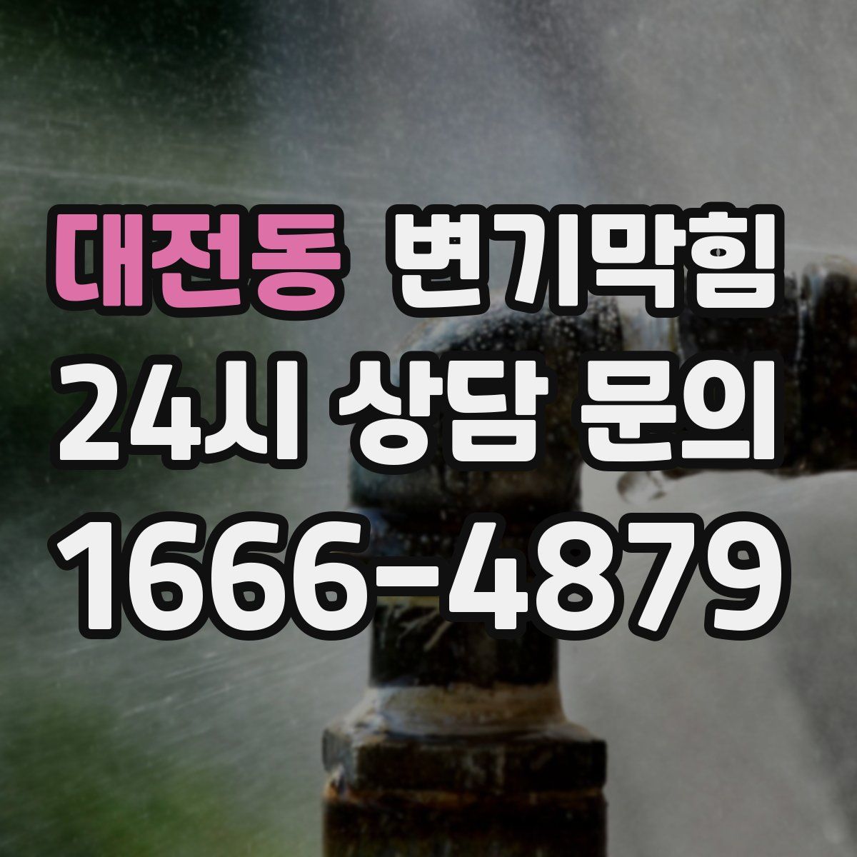 대전동 변기막힘