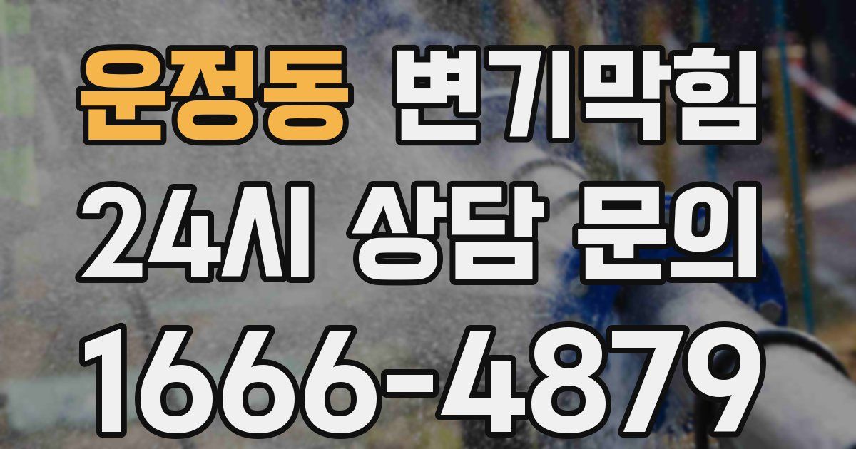 운정동 변기