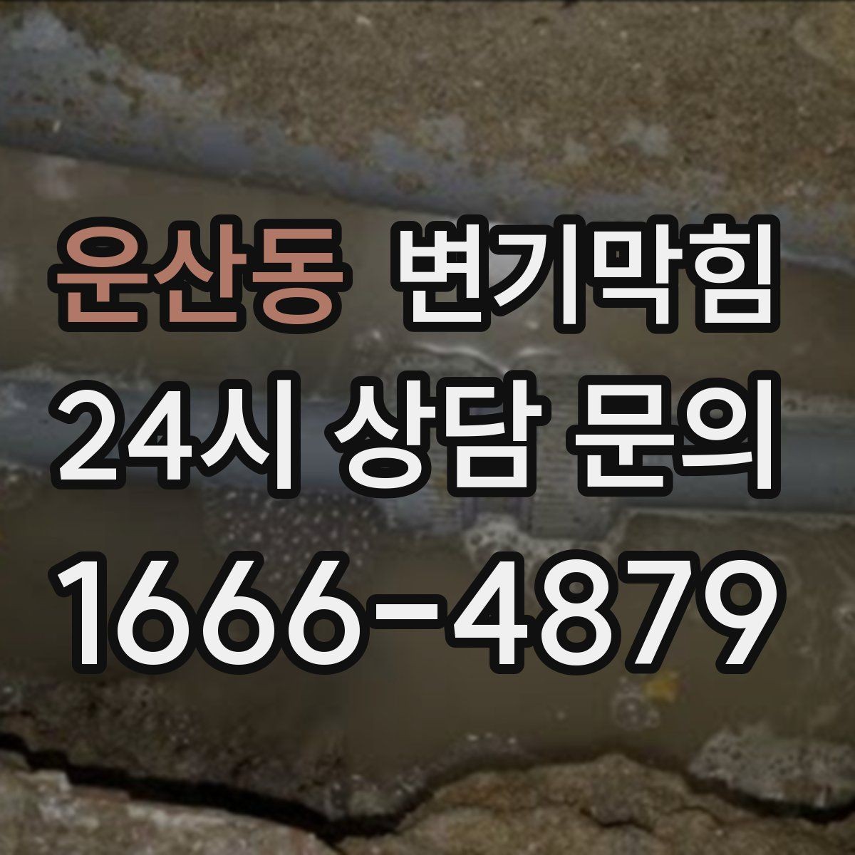 운산동 변기막힘 변기막혔을때 청소 브러시 금지 이유