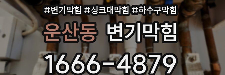 변기막힘