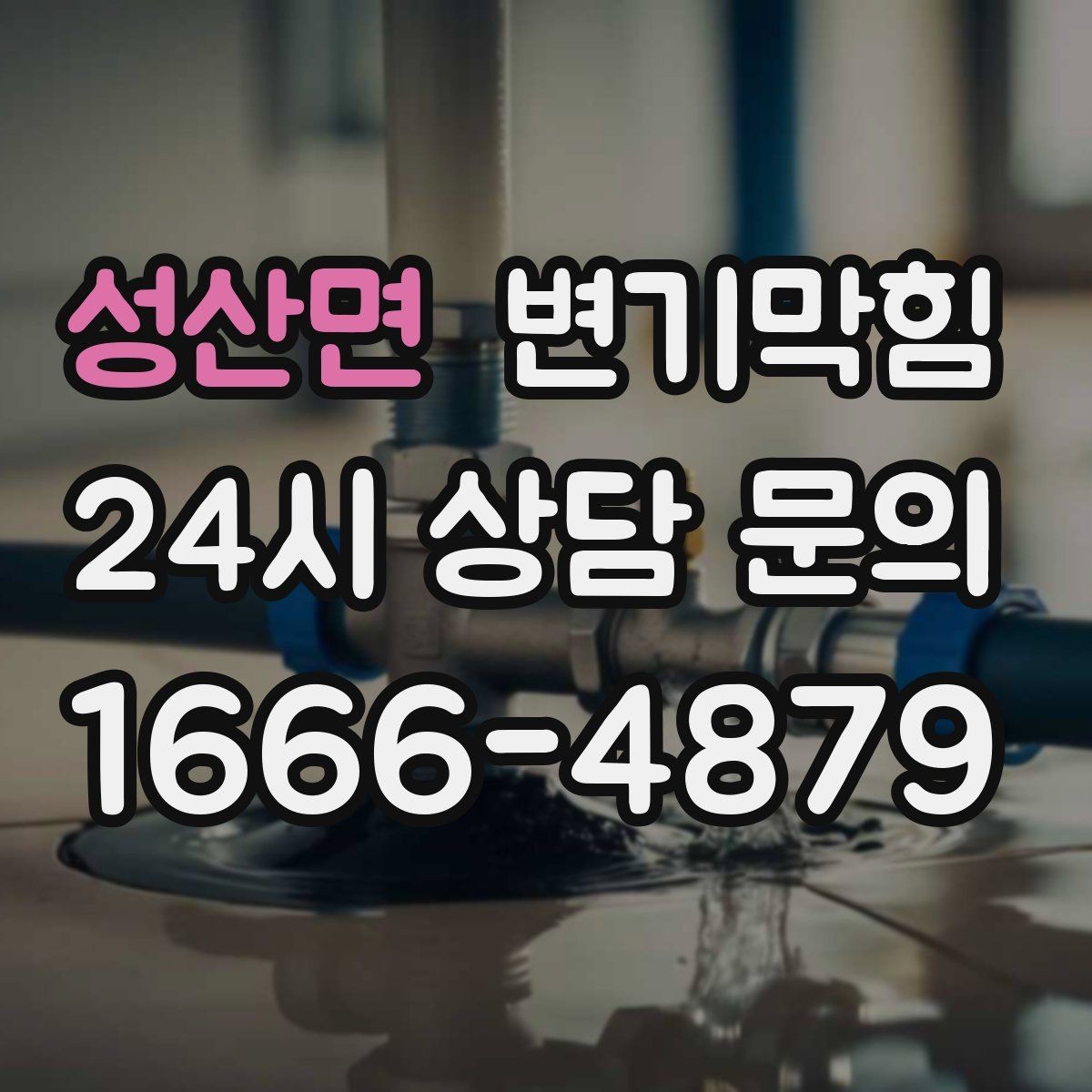 성산면 변기막힘 식당 배수구막힘 점심 준비 지킨 처리