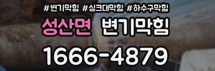 변기막힘