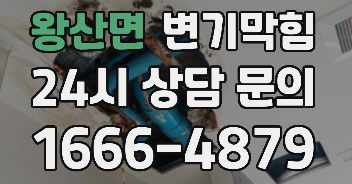 왕산면 변기