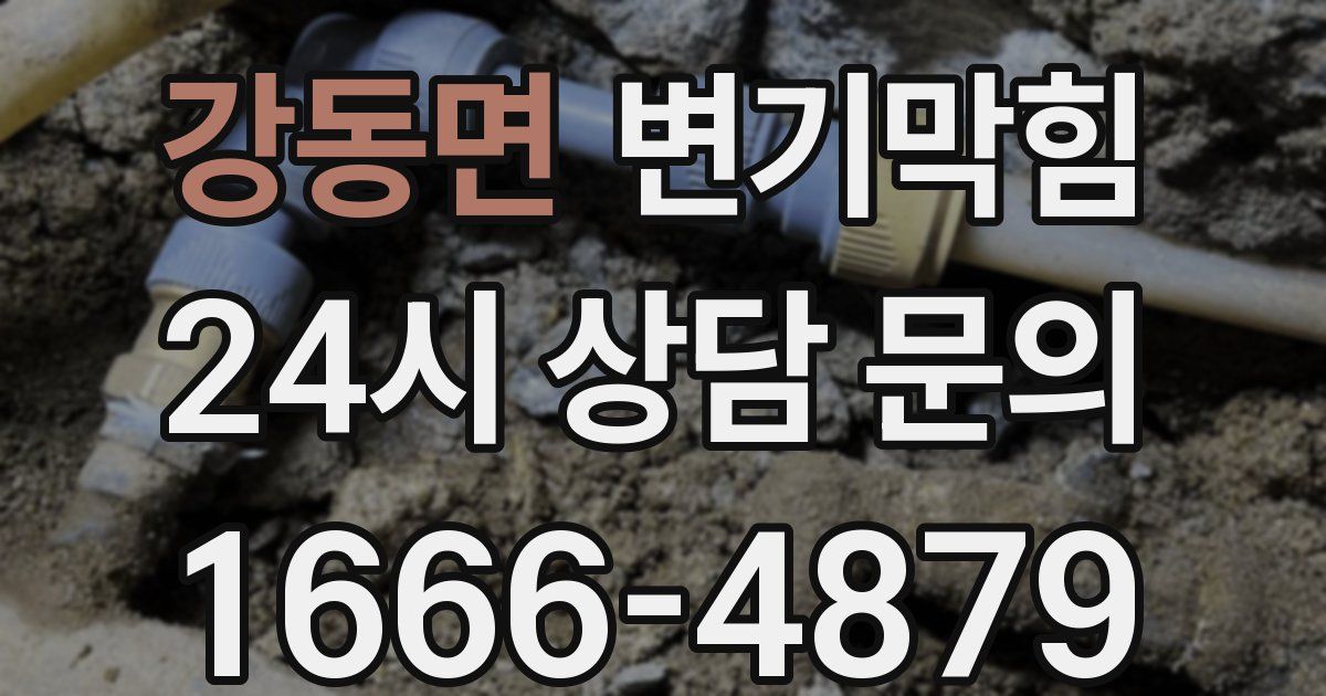 강동면 변기