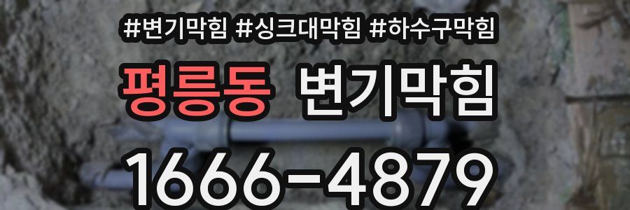 변기막힘