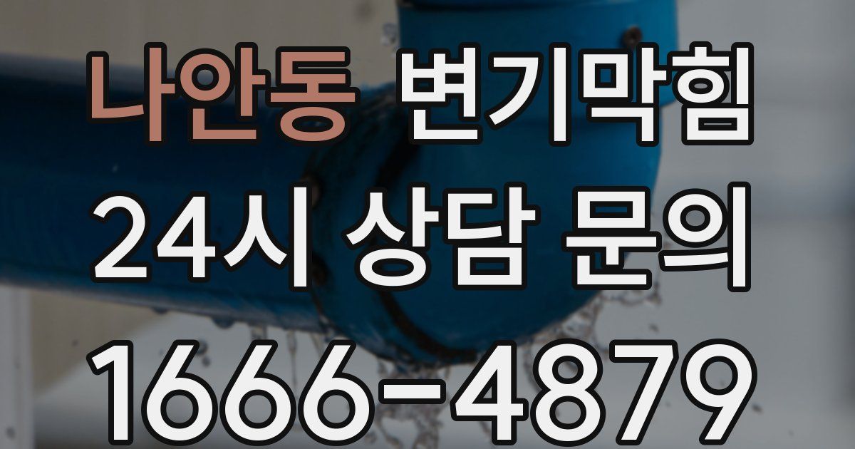 나안동 변기