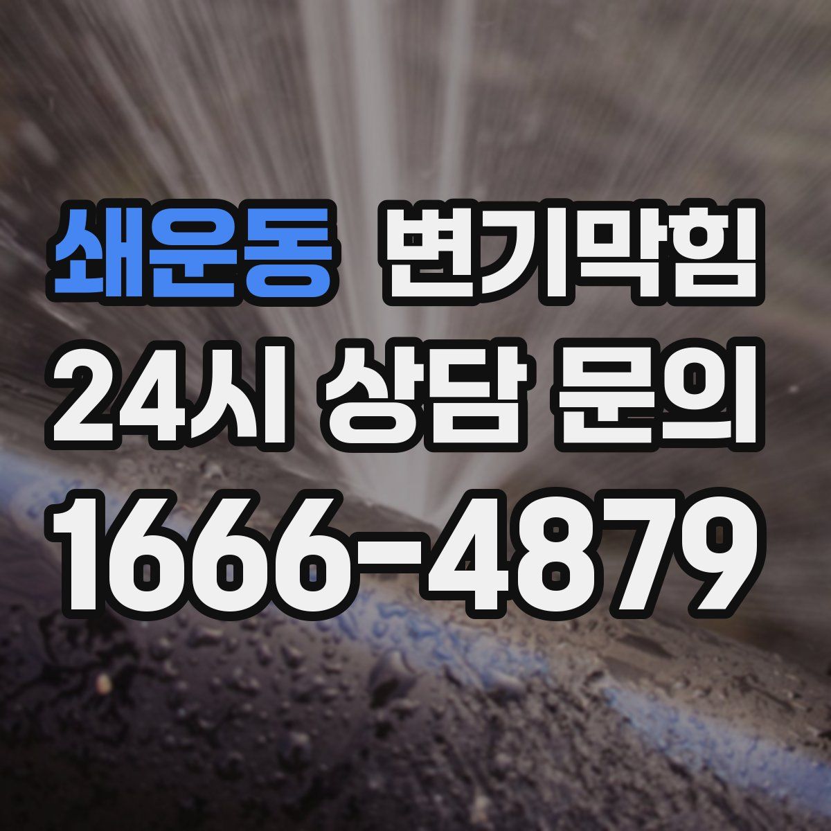 쇄운동 변기막힘