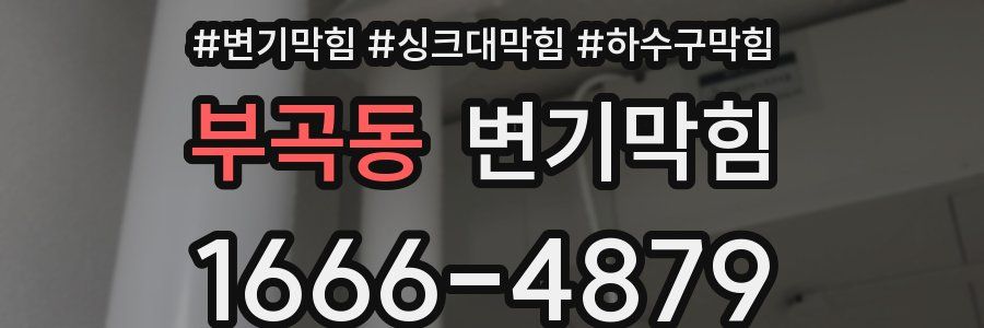 변기막힘