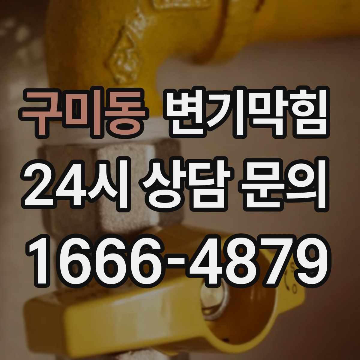 구미동 변기막힘