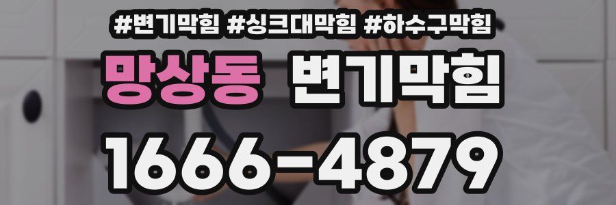 변기막힘