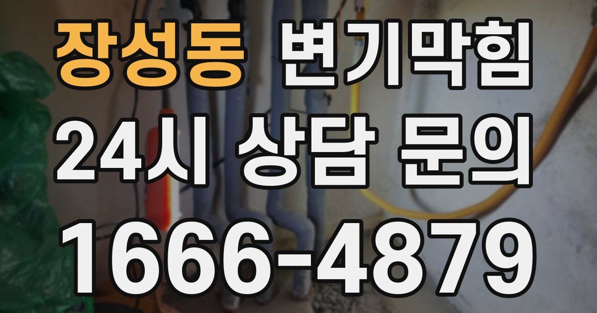 장성동 변기