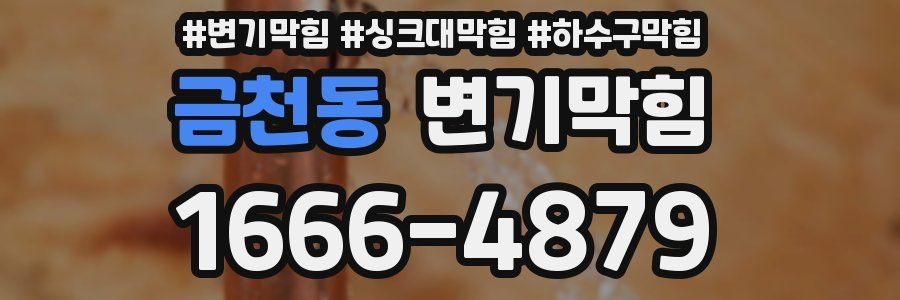 변기막힘