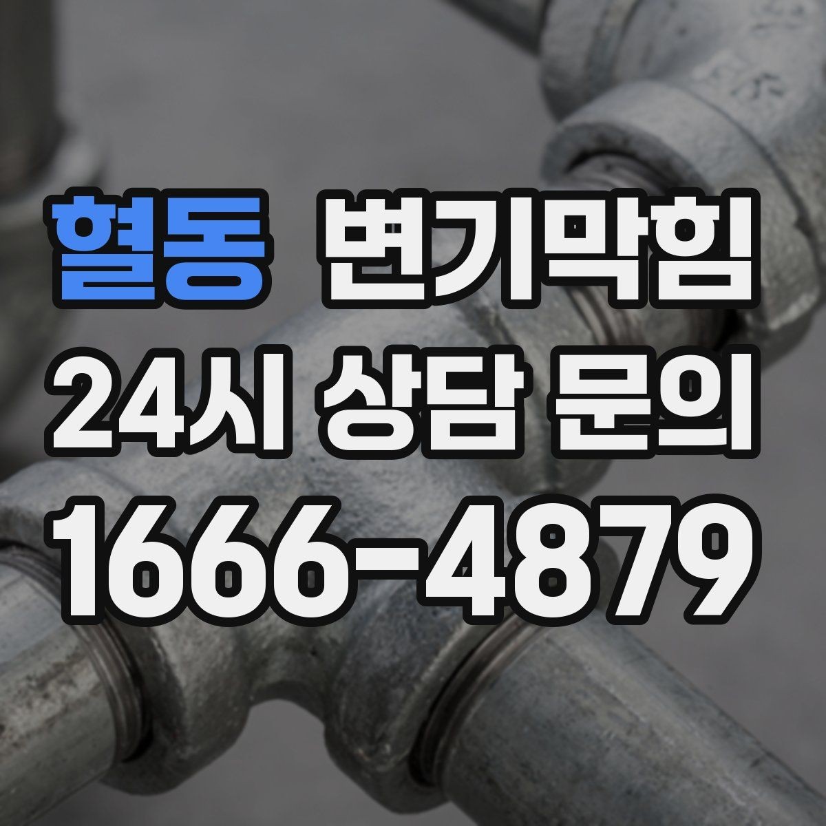 혈동 변기막힘 변기가막혔을때 냄새만 나는 경우