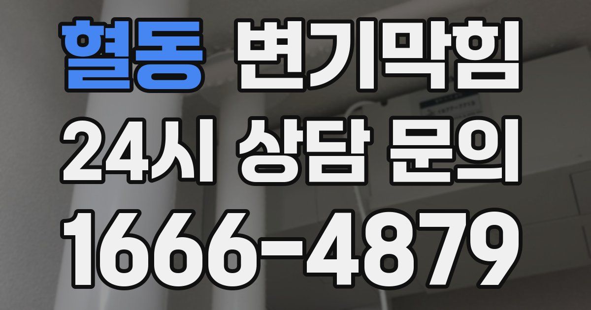 혈동 변기