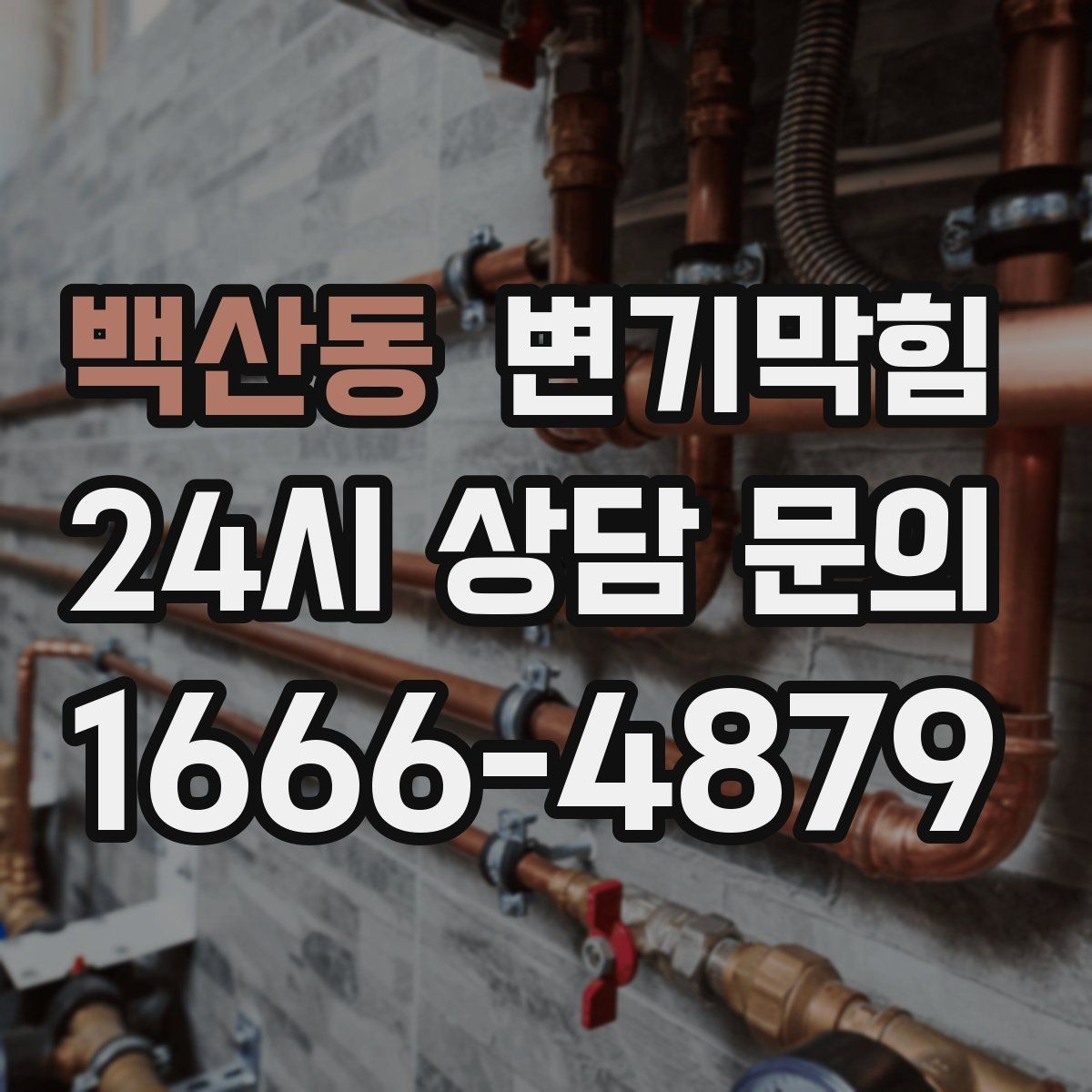 백산동 변기막힘 변기가 막혔을 때 바로 부르면 좋은 타이밍