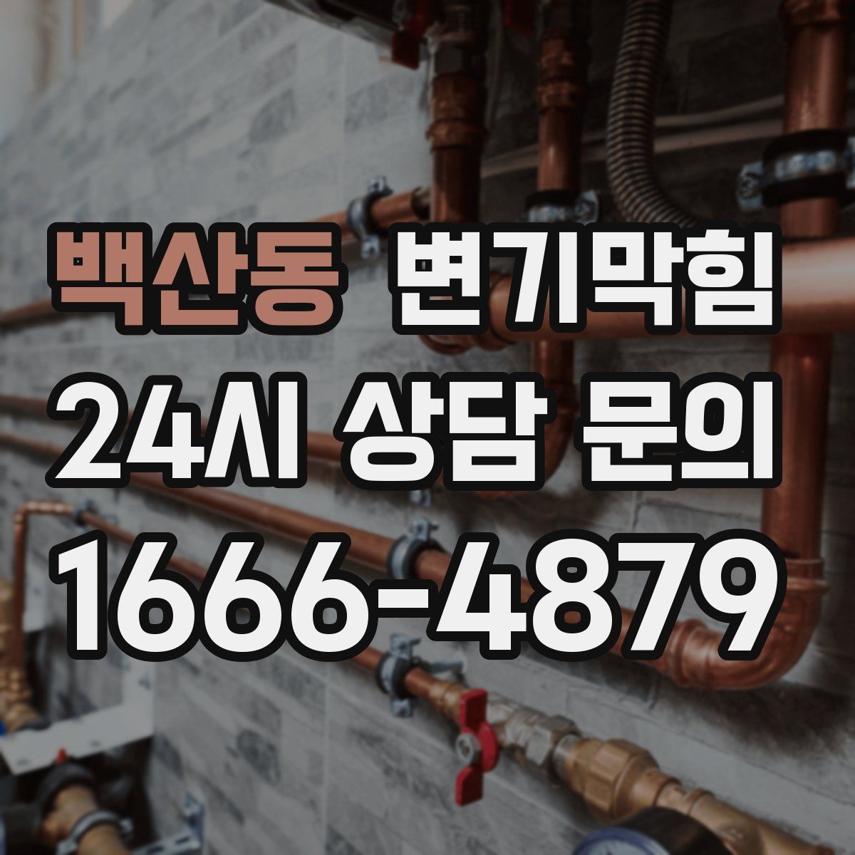 백산동 변기막힘