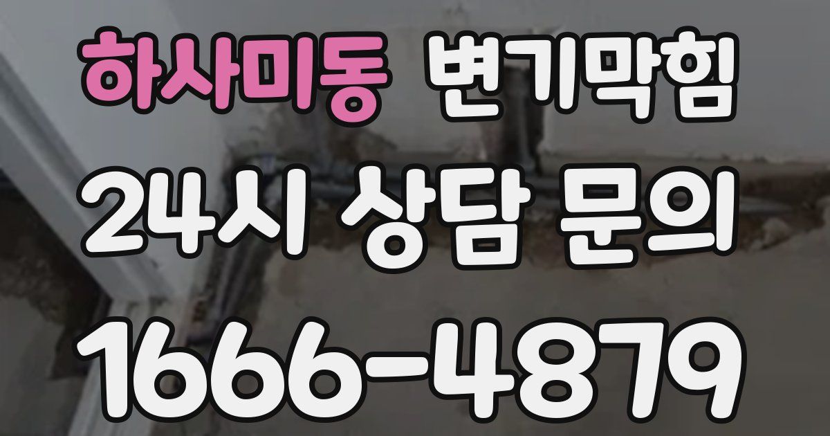 하사미동 변기