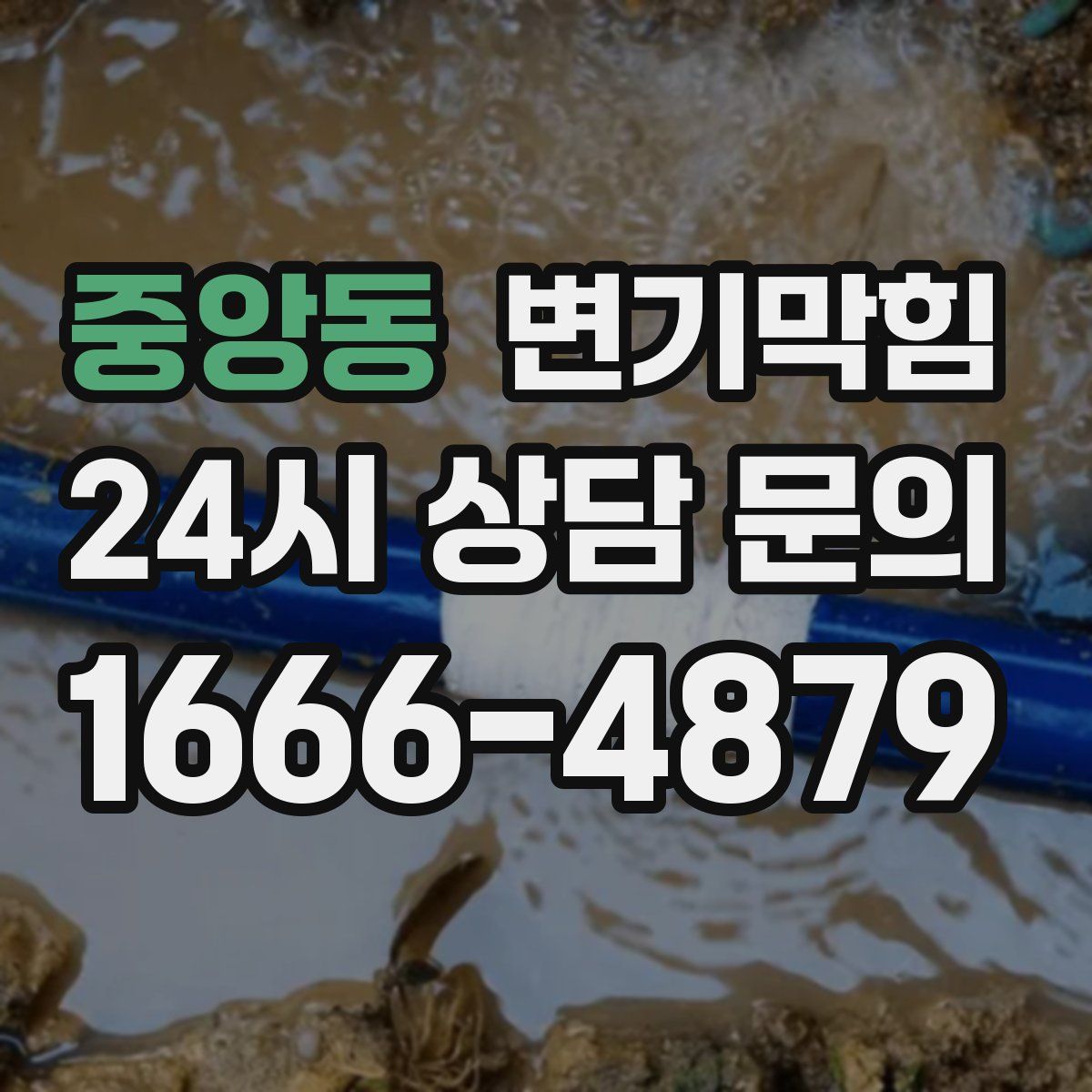 중앙동 변기막힘