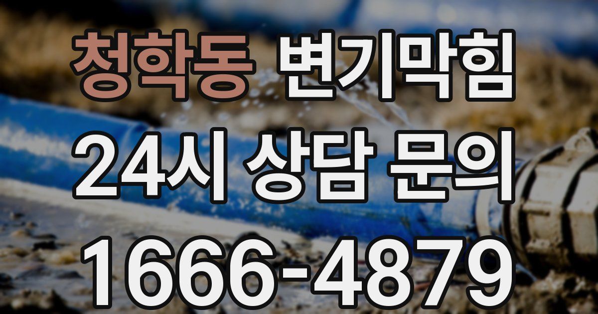 청학동 변기
