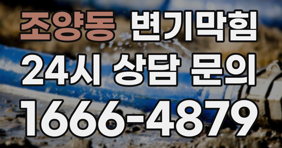 조양동 변기