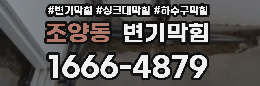 변기막힘