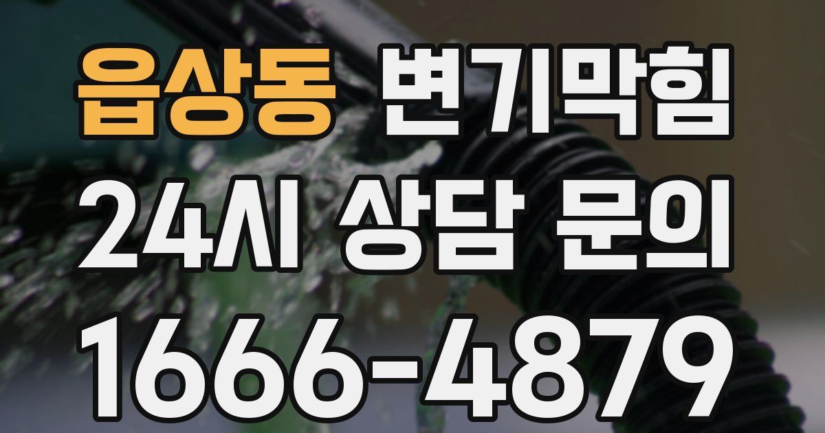 읍상동 변기