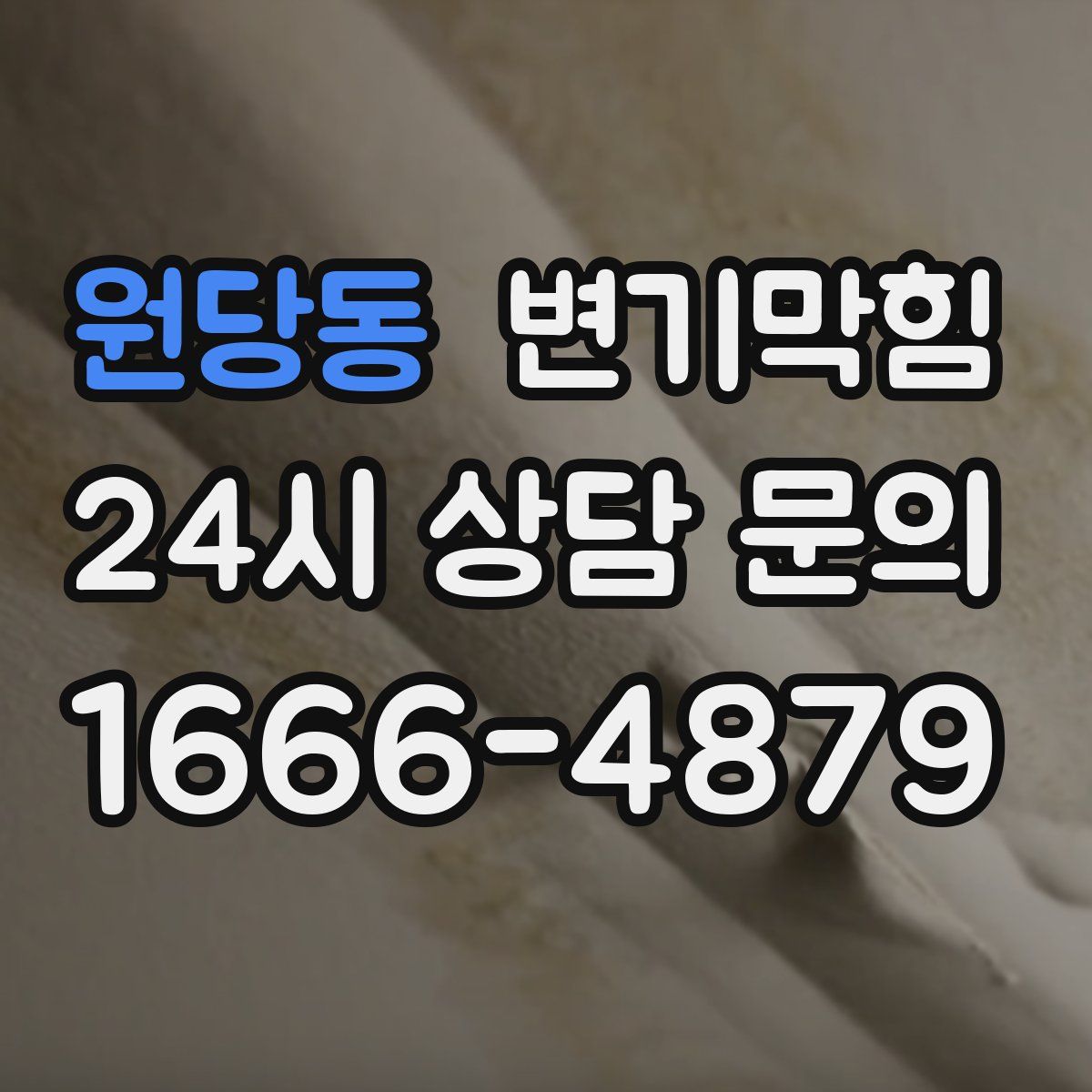 원당동 변기막힘