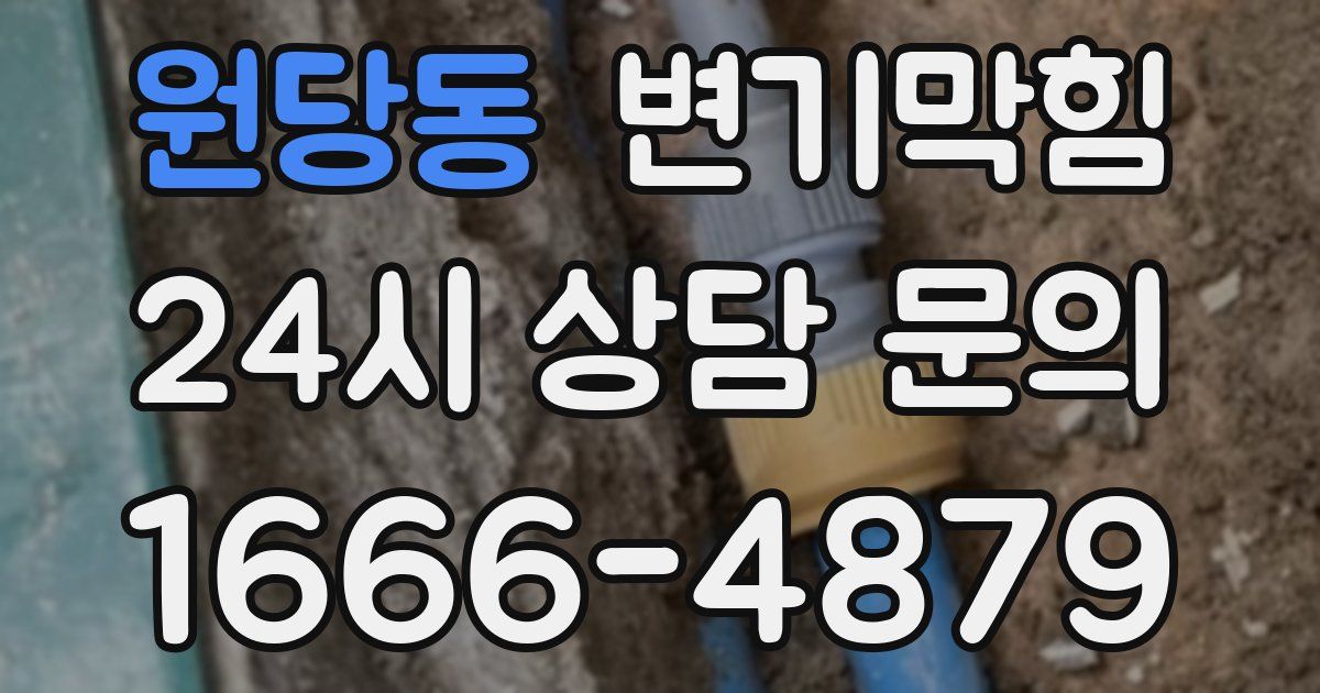 원당동 변기